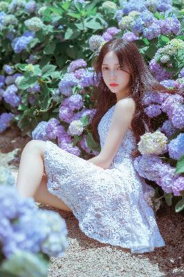 成全在线观看免费观看全集