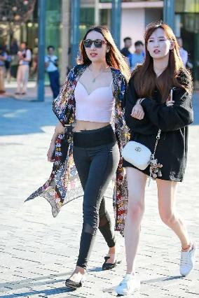 免费大片观看视频网站